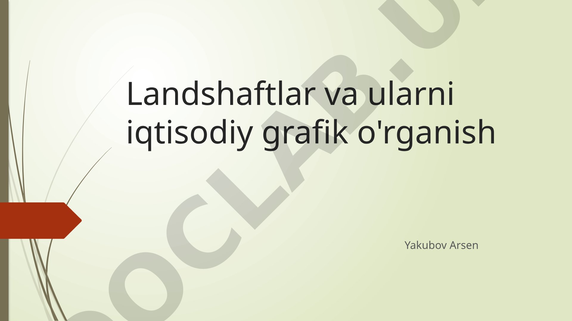 Landshaftlar va ularni iqtisodiy grafik o'rganish