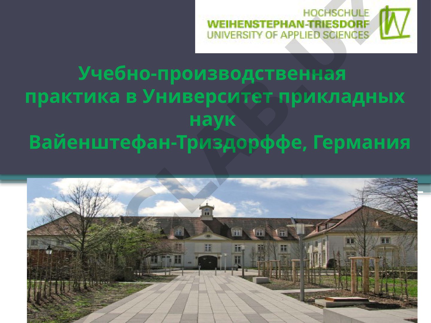 Учебно-производственная практика в Университет прикладных наук Вайенштефан-Триздорффе, Германия