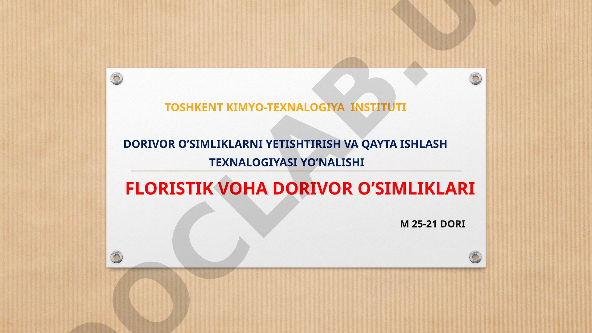 Floristik voha dorivor o‘simliklari