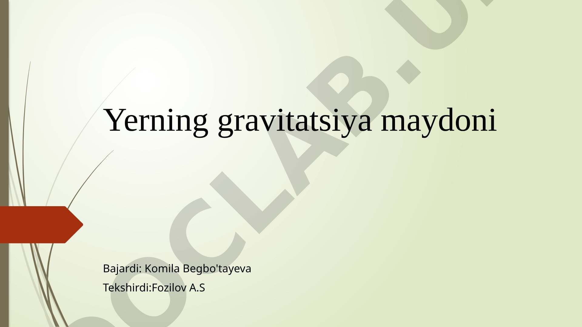 Yerning gravitatsiya maydoni