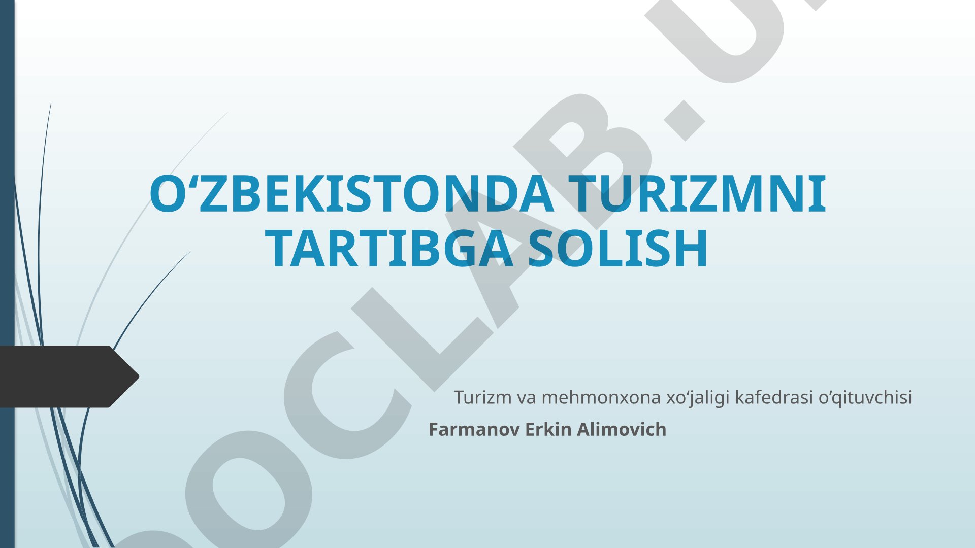 O‘zbekistonda turizmni tartibga solish