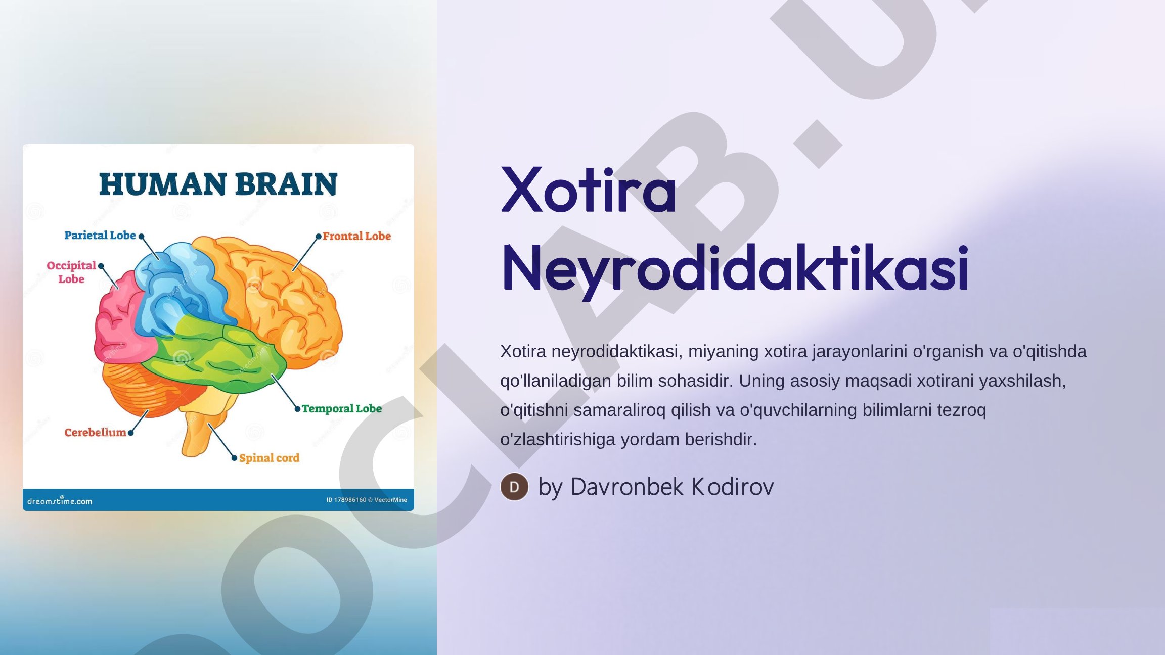 Xotira neyrodidaktikasi