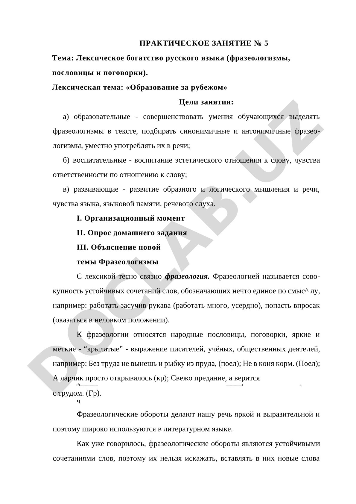 Лексическое богатство русского языка (фразеологизмы, пословицы и поговорки)