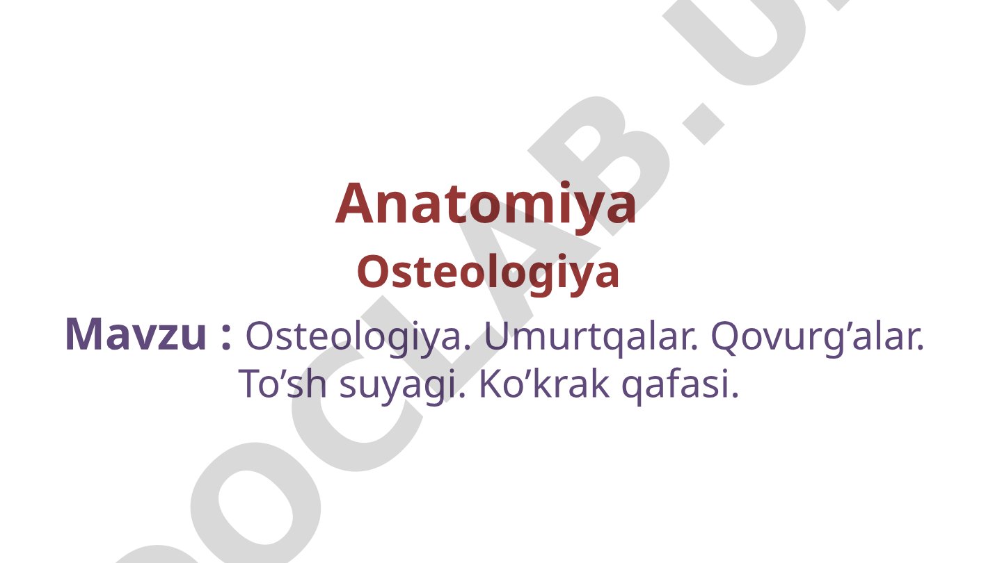 Osteologiya. Umurtqalar. Qovurg'alar. To'sh suyagi. Ko'krak qafasi.