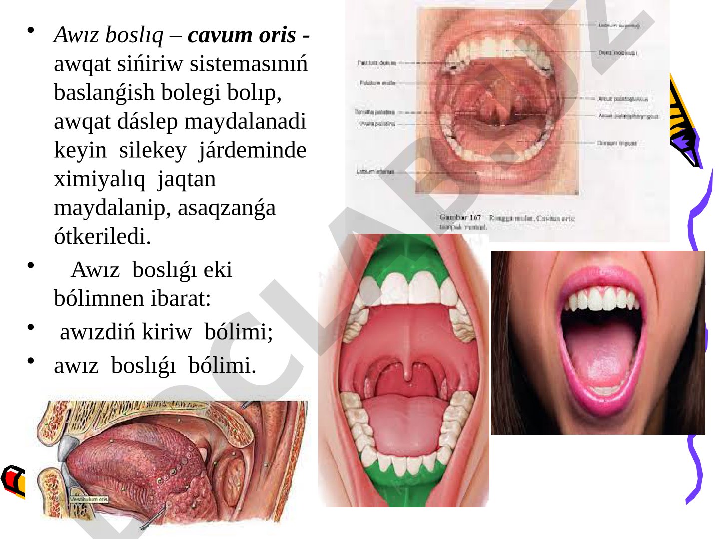 Awız boslıǵı hám onıń organları