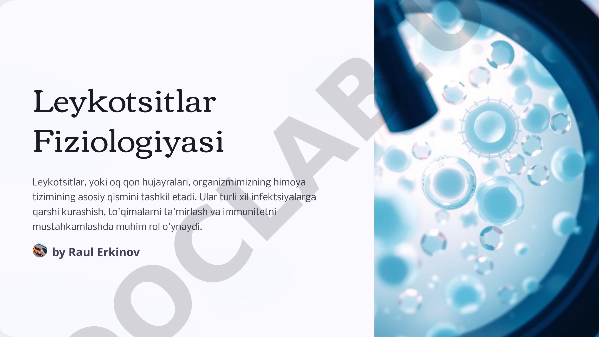 Leykotsitlar Fiziologiyasi