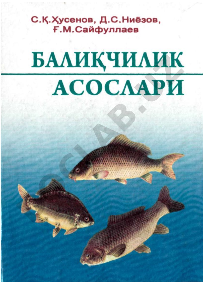 Балиқларни ўлчаш ва семизлик коэффициентини аниқлаш