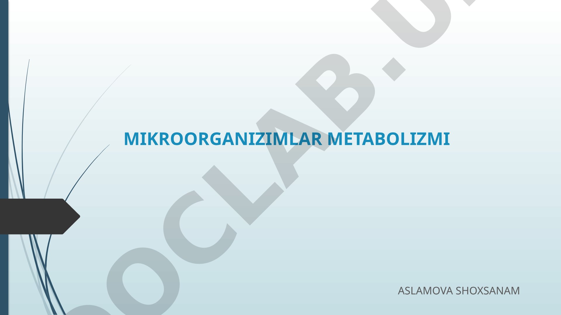 Mikroorganizmlar metabolizmi, katabolizm va anabolizm, energiya olish jarayonlari haqida