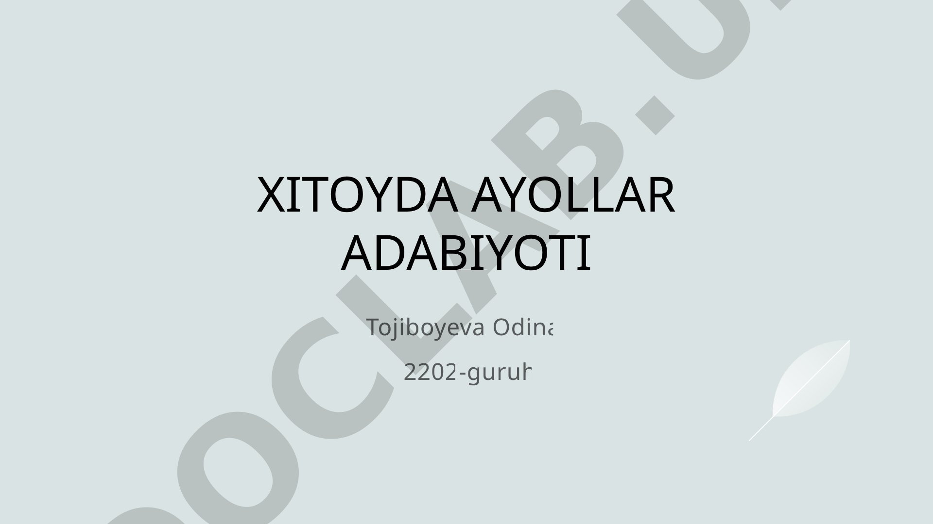 Xitoyda ayollar adabiyoti