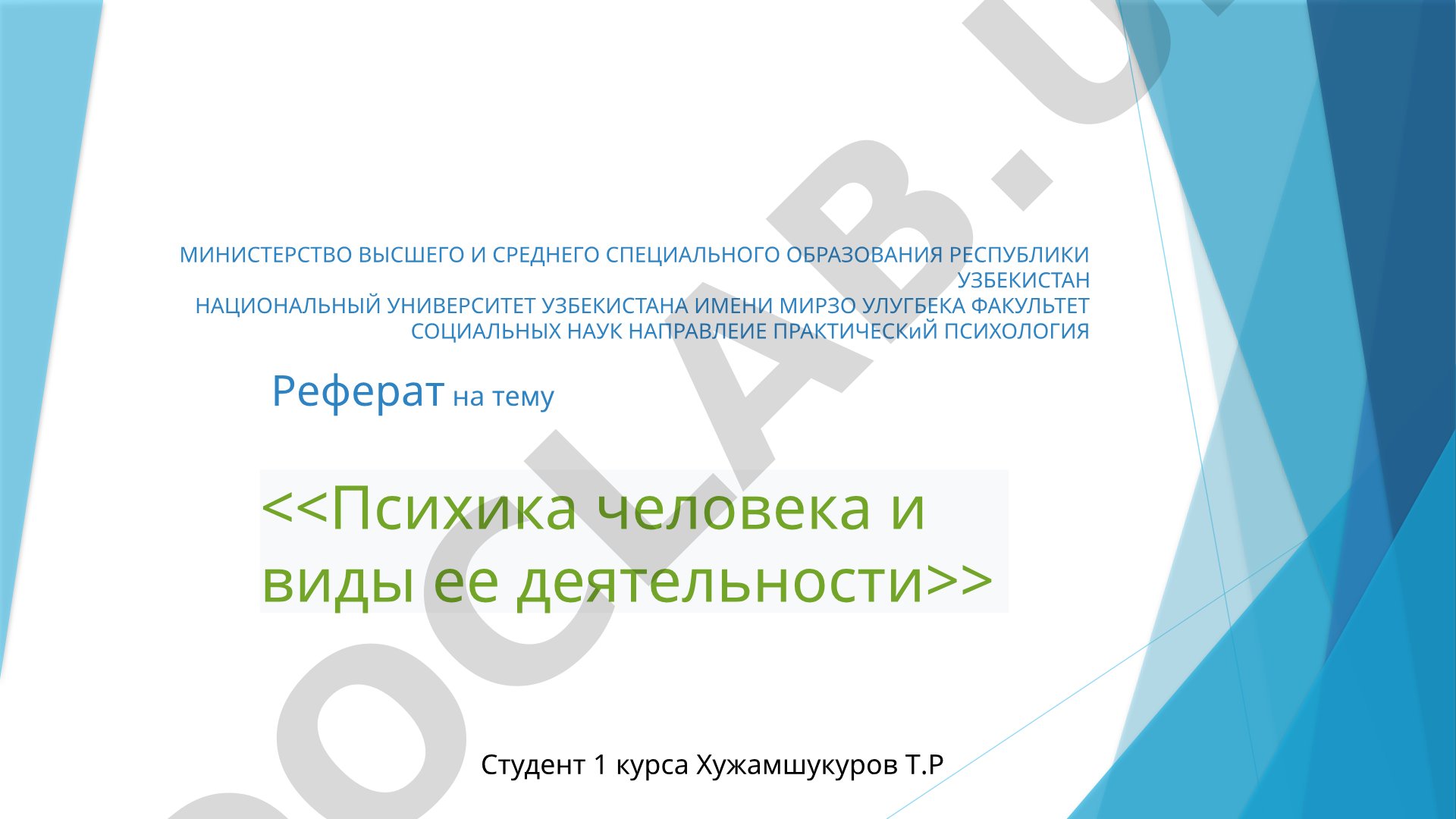 Психика человека и виды ее деятельности