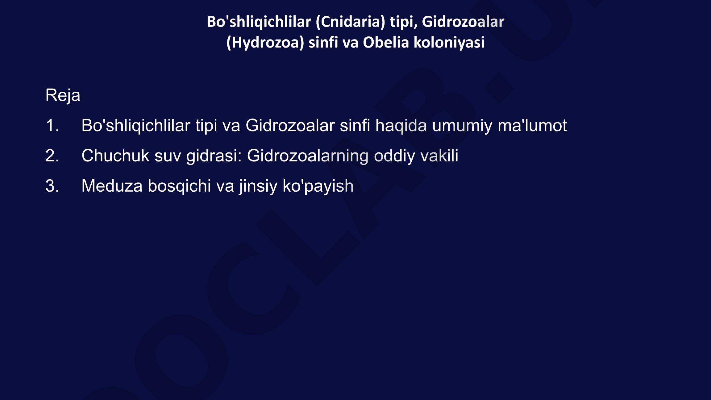 Bo'shliqichlilar (Cnidaria) tipi, Gidrozoalar (Hydrozoa) sinfi va Obelia koloniyasi