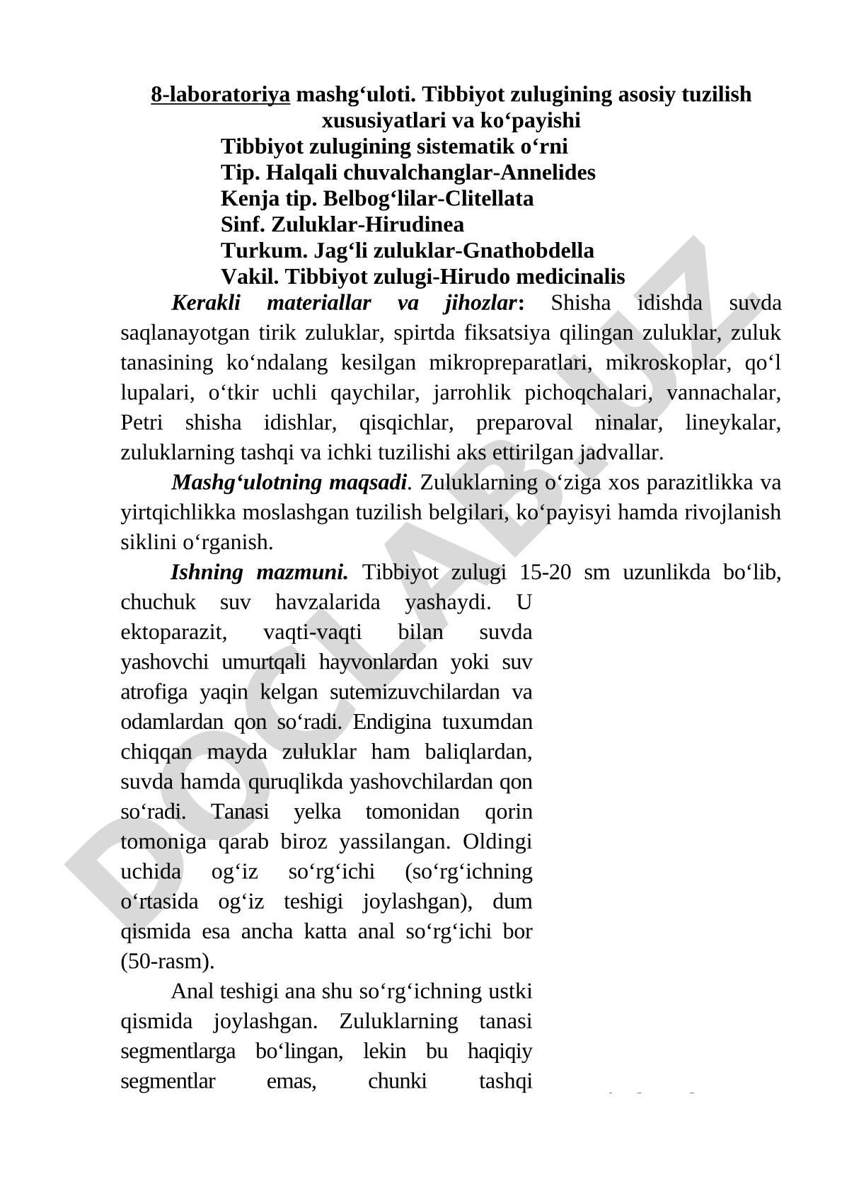 Tibbiyot zulugining asosiy tuzilish xususiyatlari va ko‘payishi