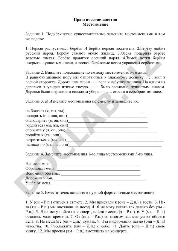 Русский язык: практические занятия по местоимениям