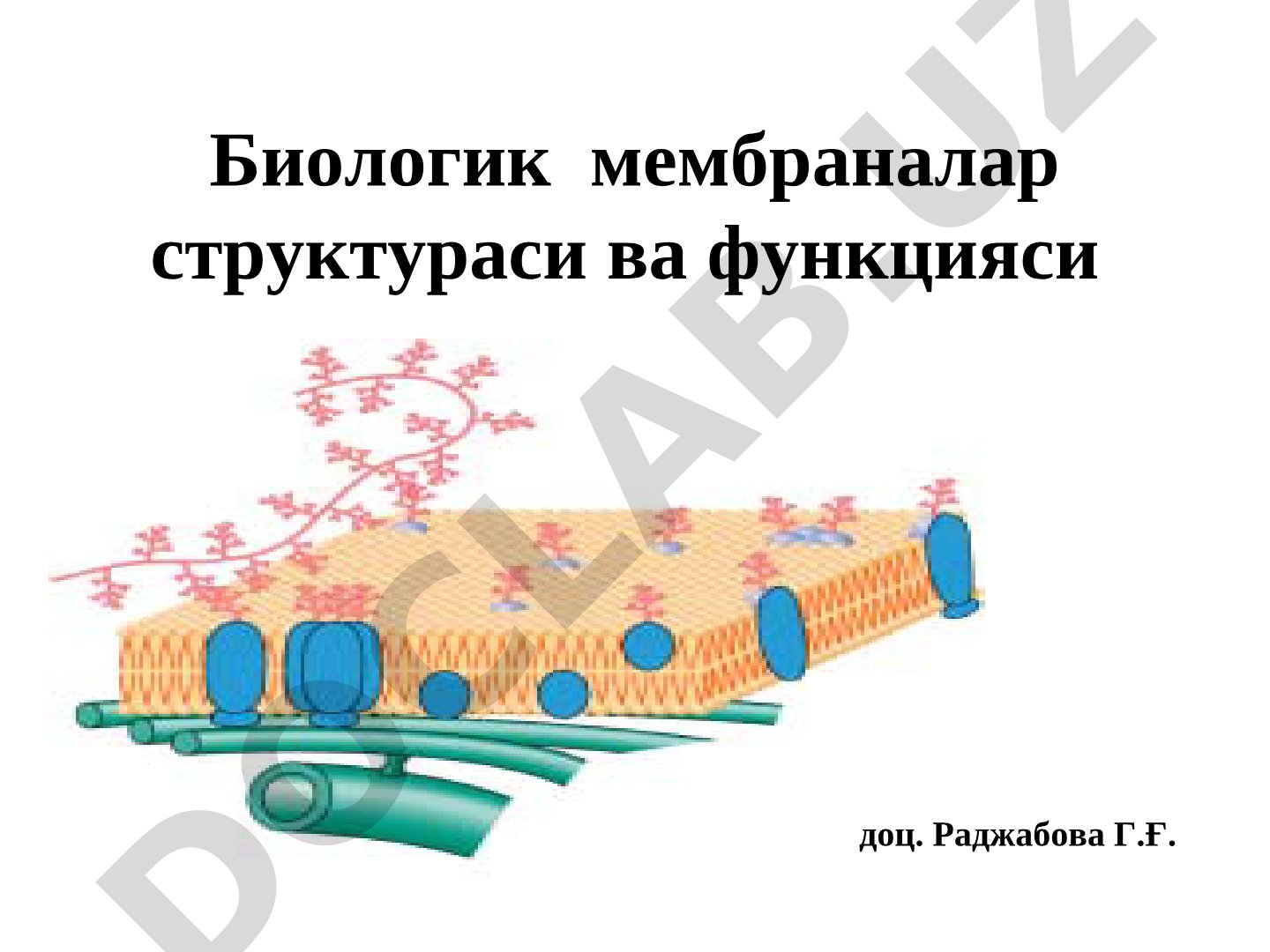 Биологик мембраналар структураси ва функцияси