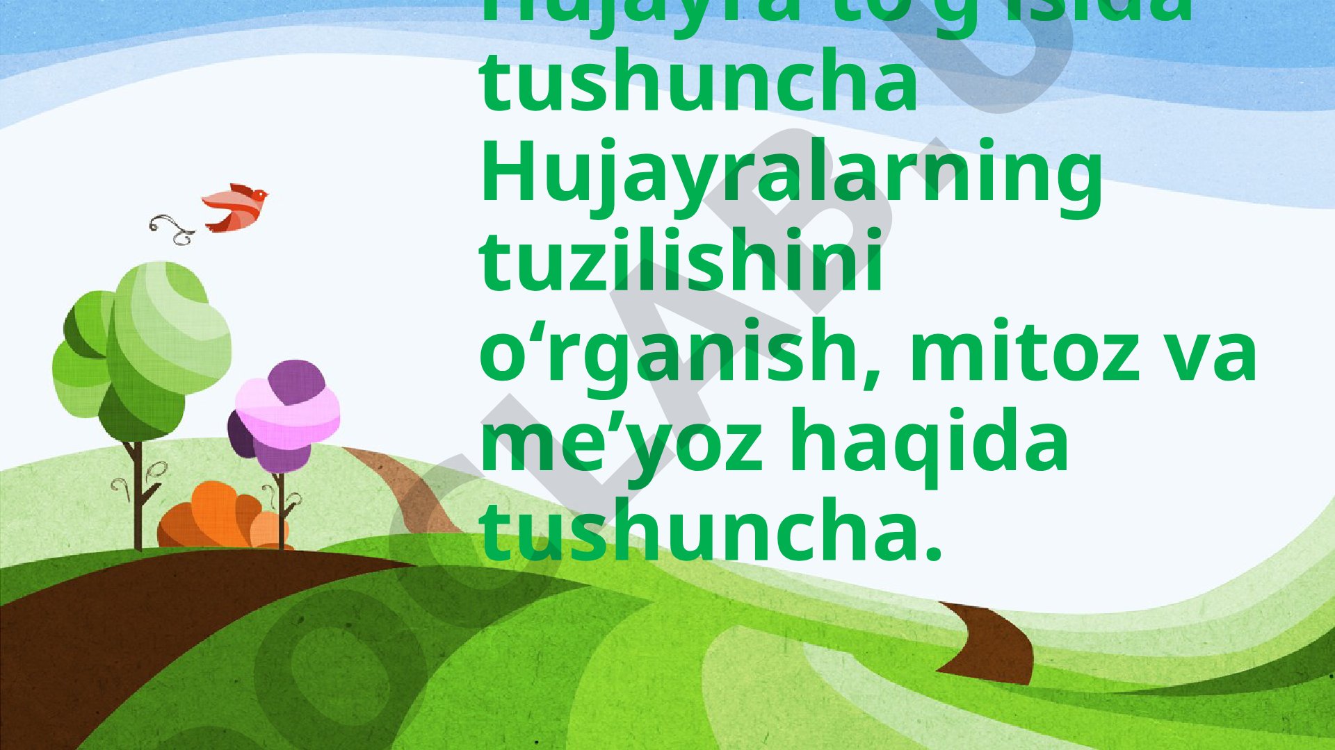 Hujayra to'g'risida tushuncha