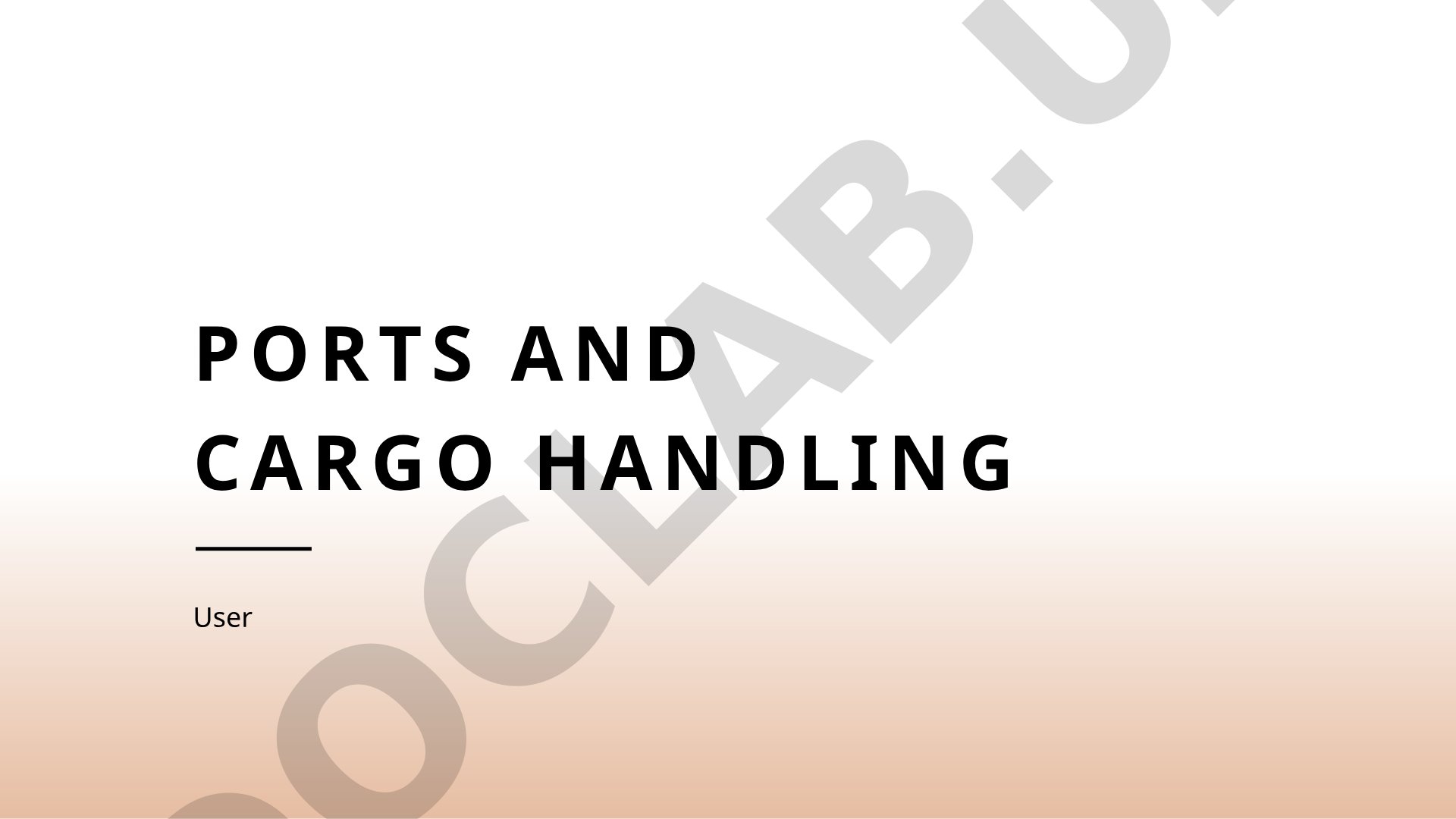 Port Infrastructure and Cargo Handling Systems