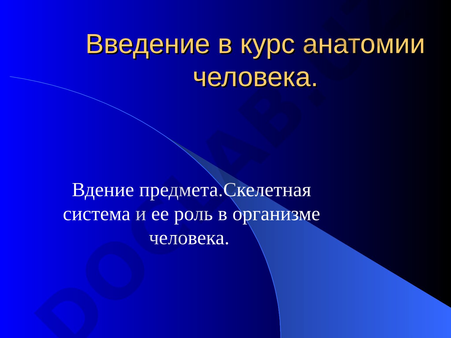 Введение в курс анатомии человека. Скелетная система