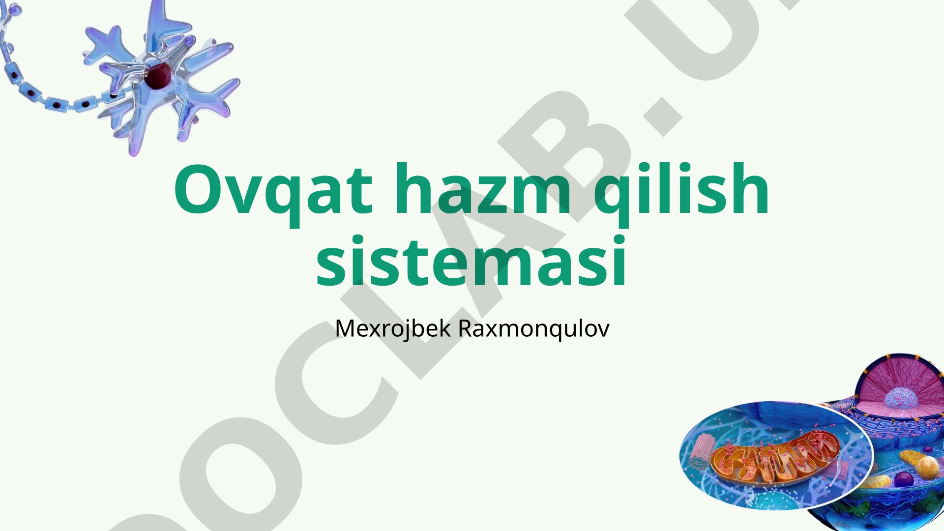 Ovqat hazm qilish sistemasi
