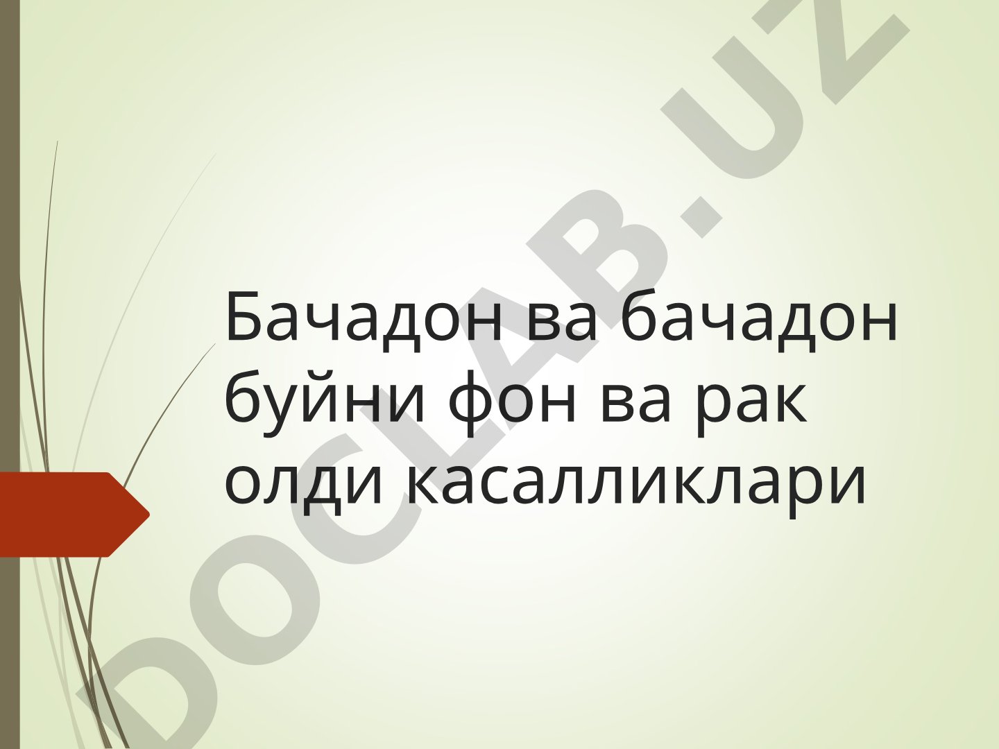 Бачадон ва бачадон буйни фон ва рак олди касалликлари Эпидемиологияси