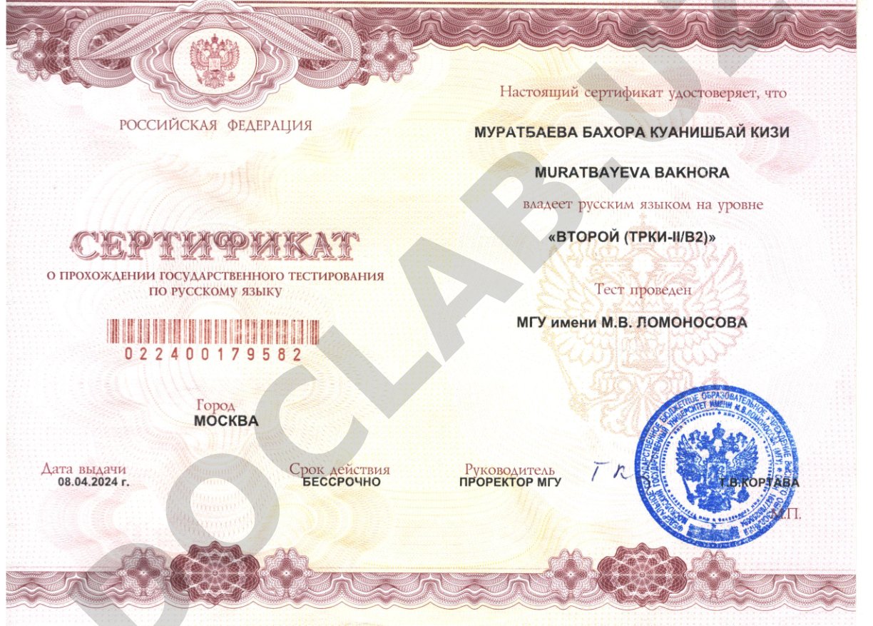 Сертификат о владении русским языком (ТРКИ-II/В2)