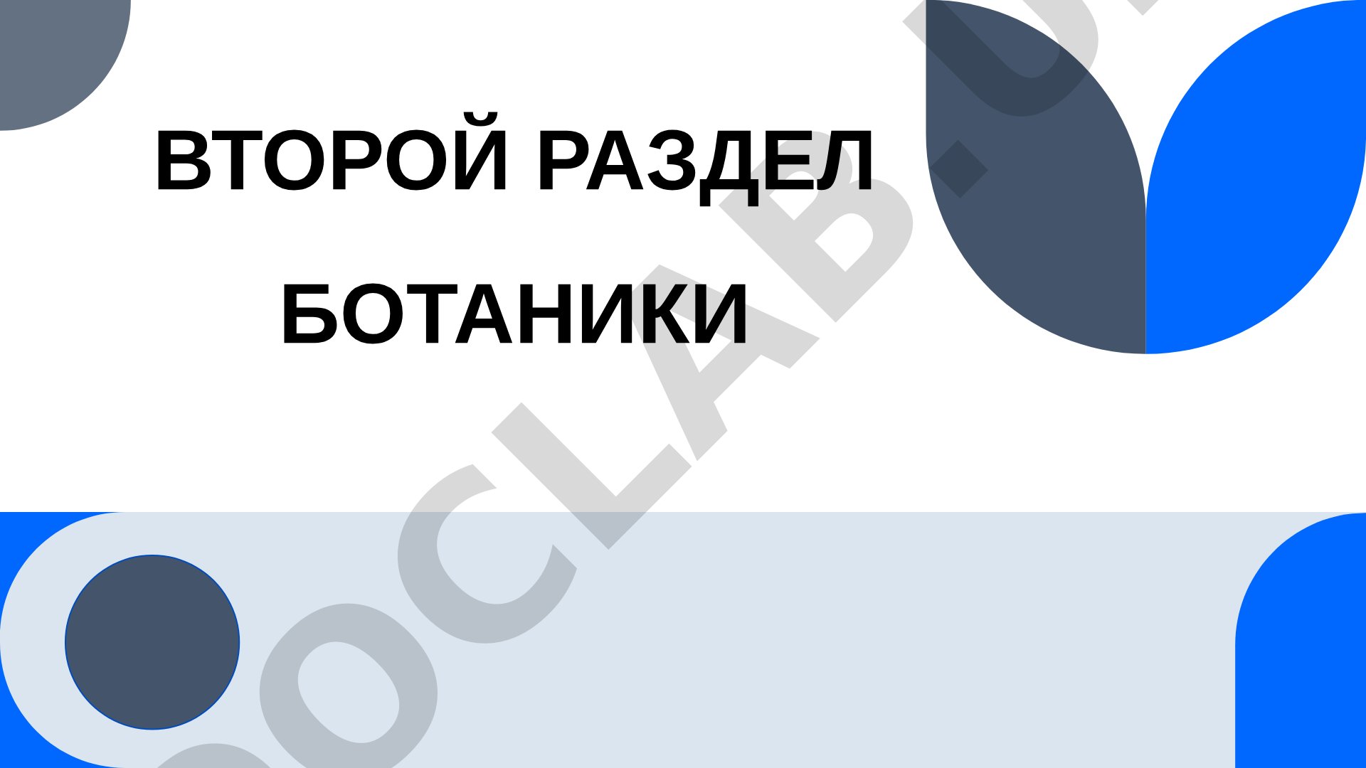 Жизненные циклы споровых и семенных растений