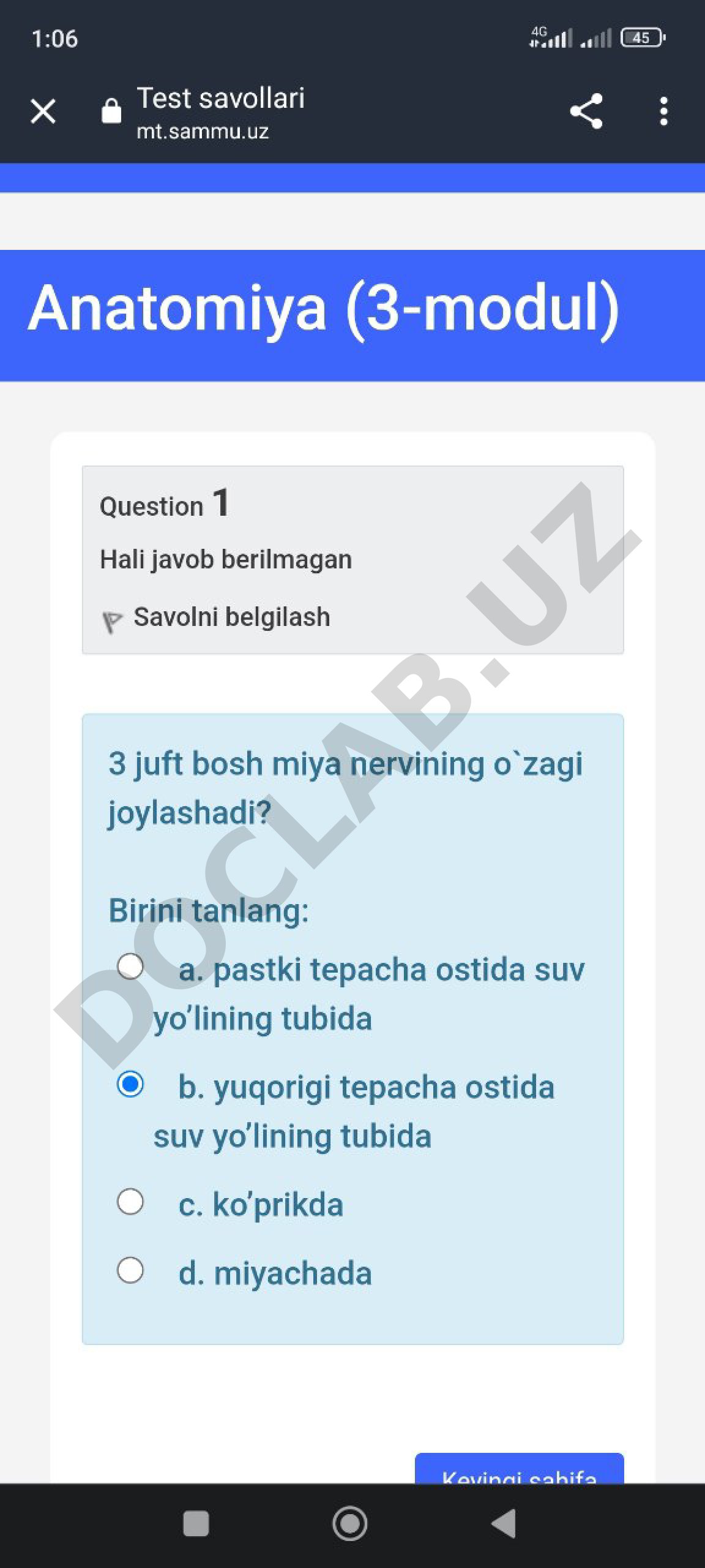 Blank PDF pages