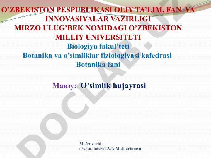 O'simlik hujayrasi