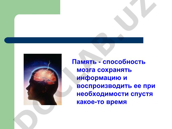 Память человека: виды, функции и особенности