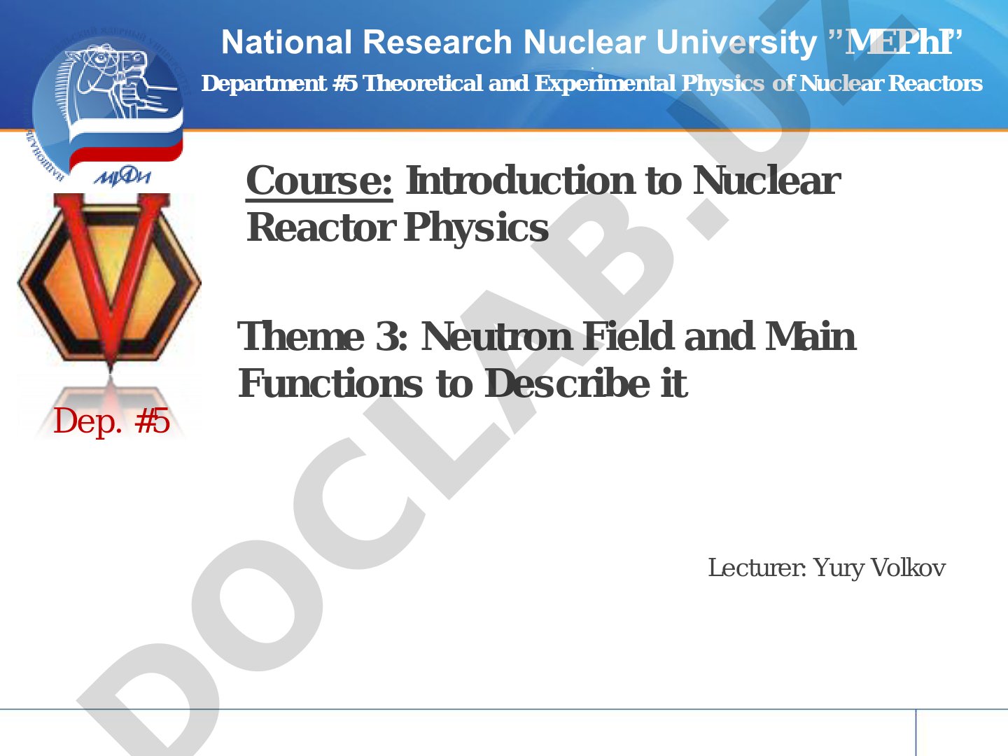 Neutron Field and Main Functions to Describe it