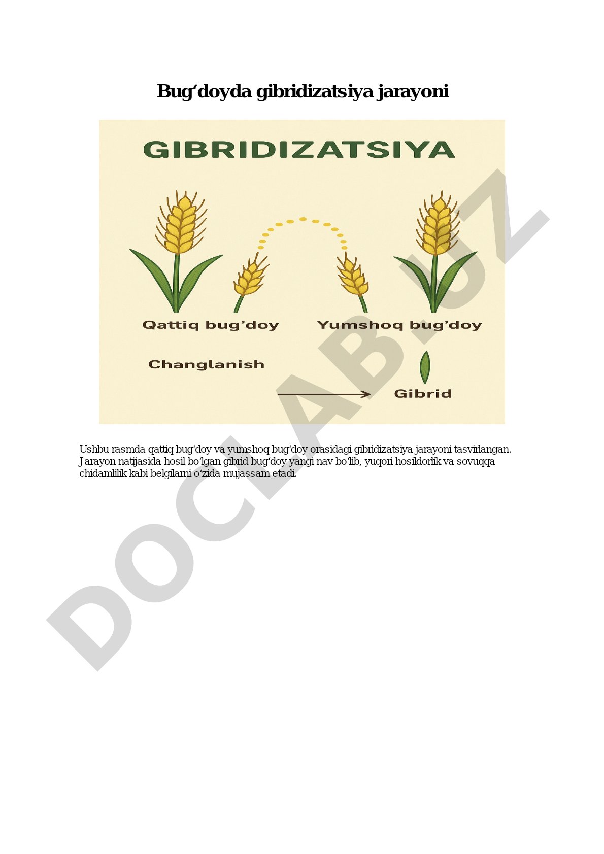 Bug‘doyda gibridizatsiya jarayoni