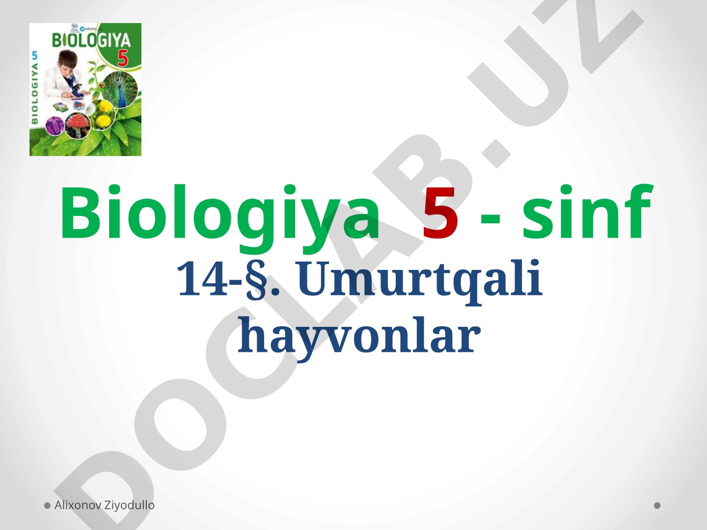 Umurtqali hayvonlar