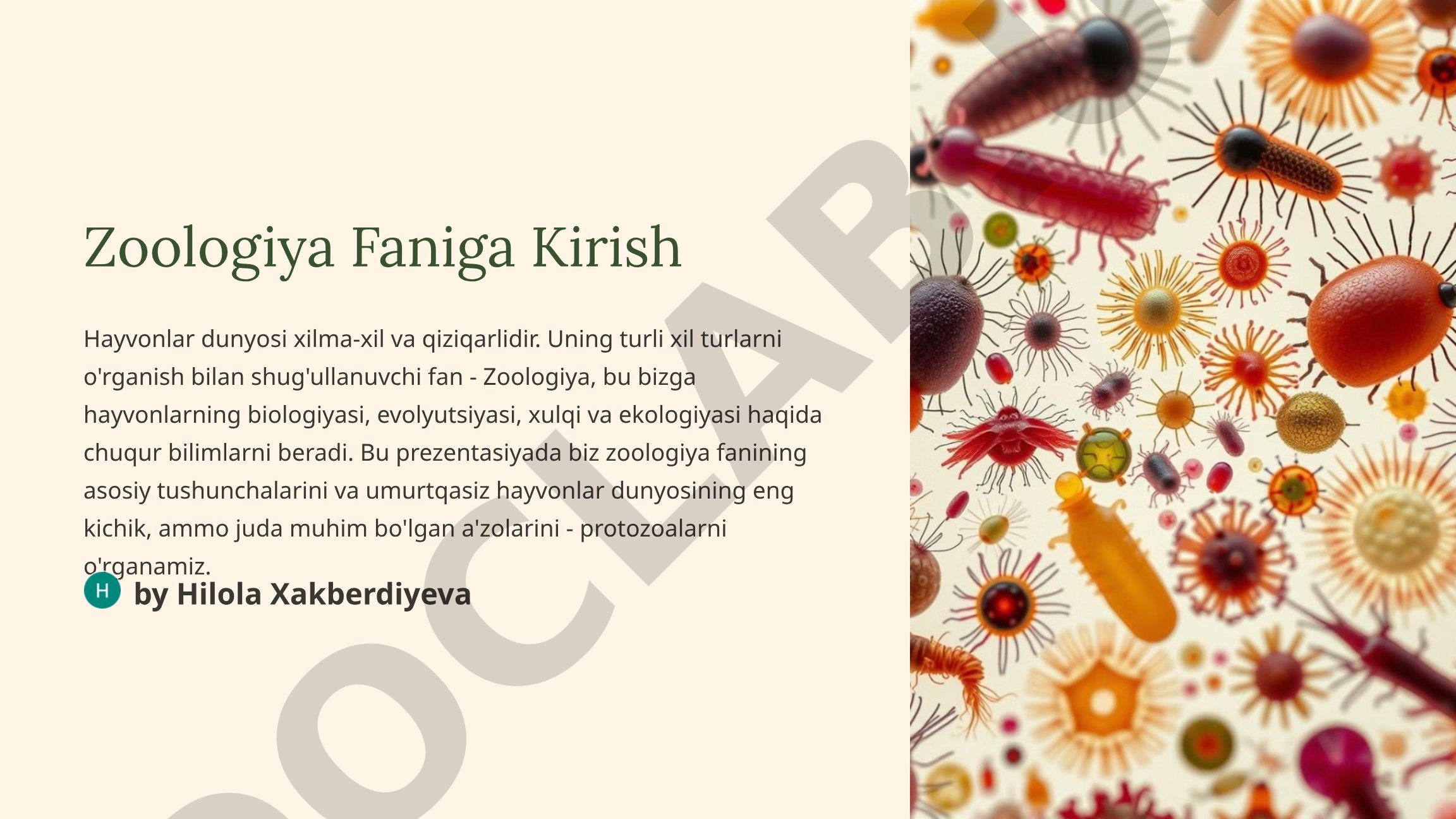 Zoologiya faniga kirish, umurtqasizlar va protozoalarning turlari va ahamiyati