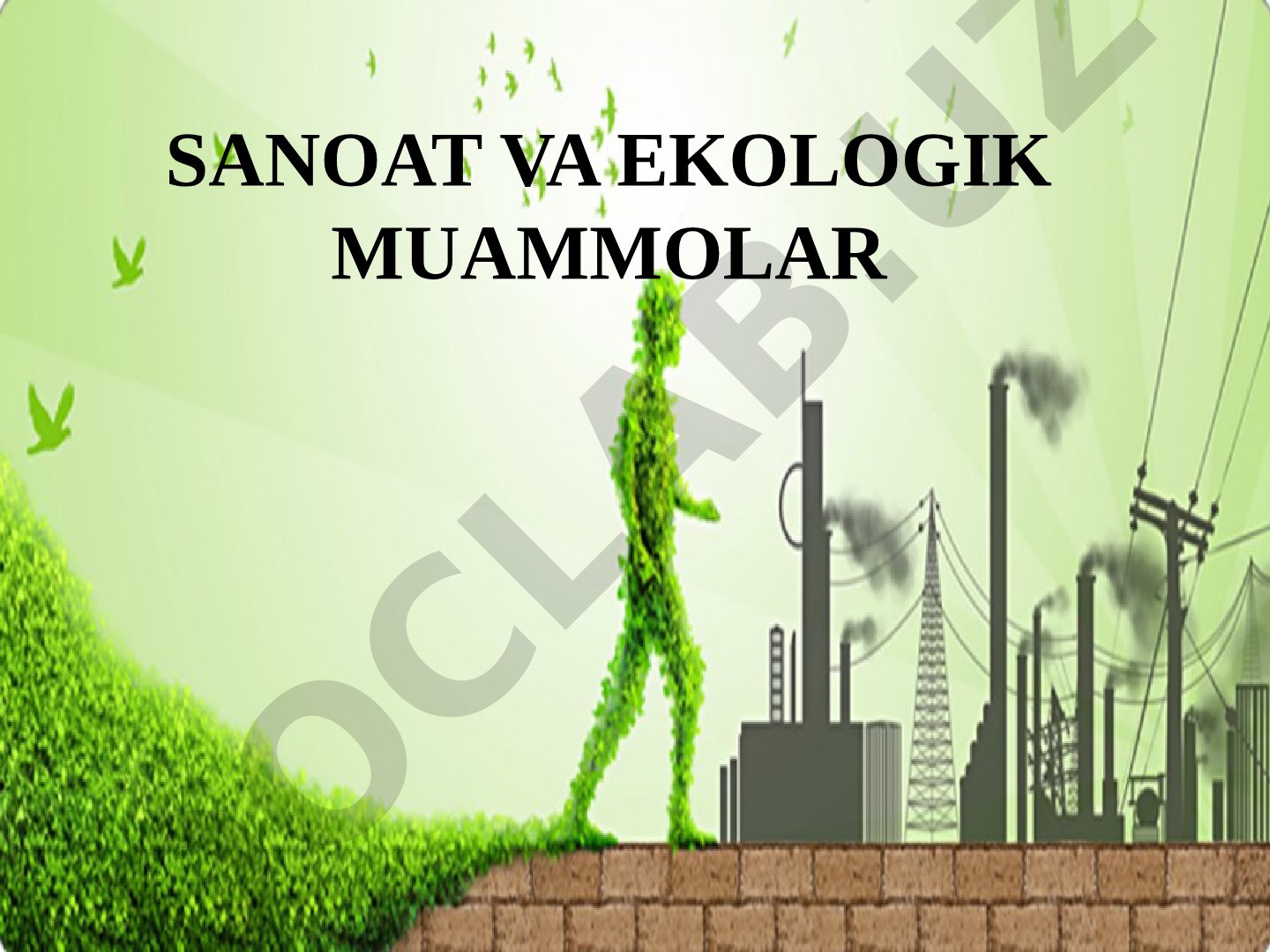 SANOAT VA EKOLOGIK MUAMMOLAR
