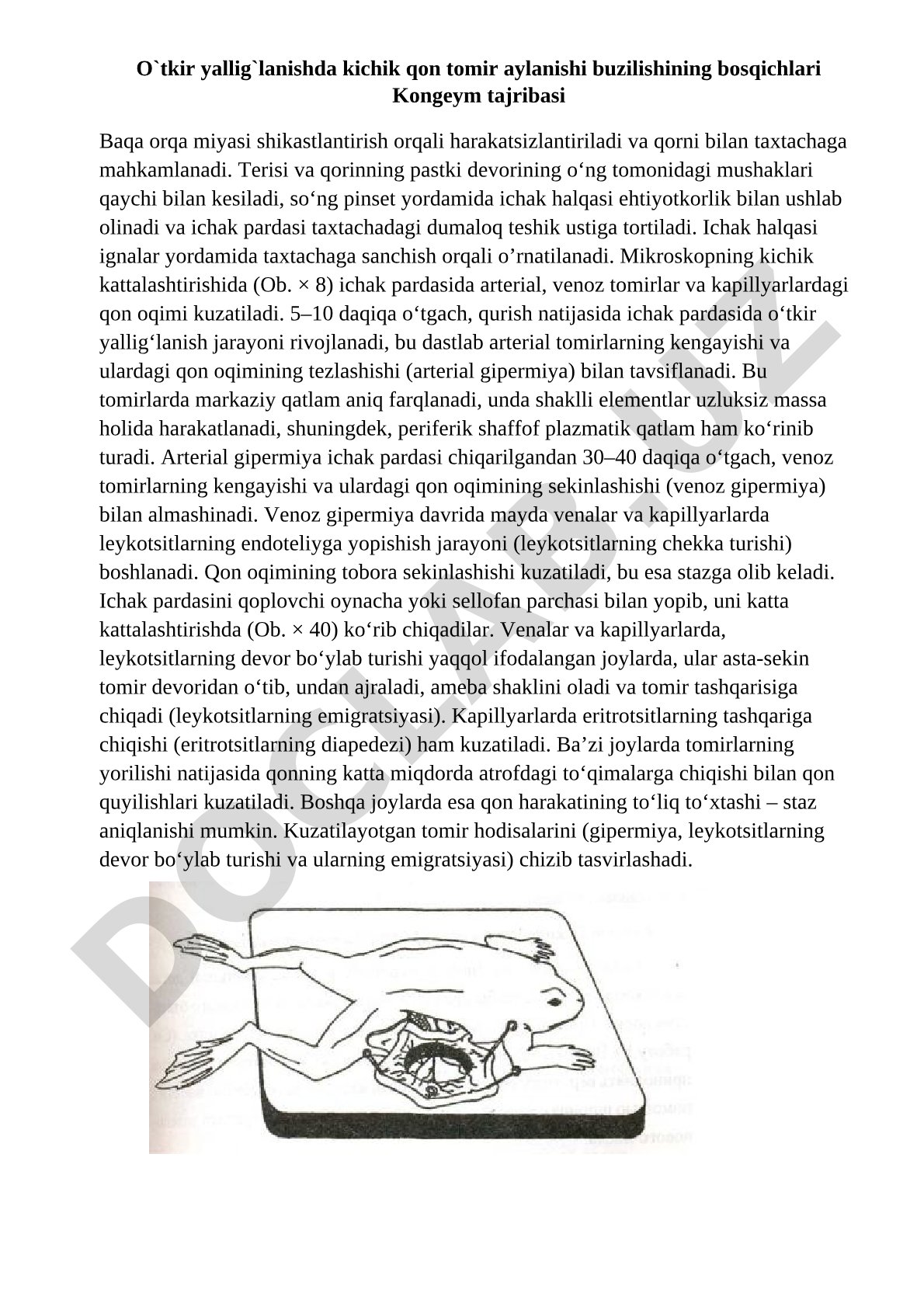 O`tkir yallig`lanishda kichik qon tomir aylanishi buzilishining bosqichlari Kongeym tajribasi