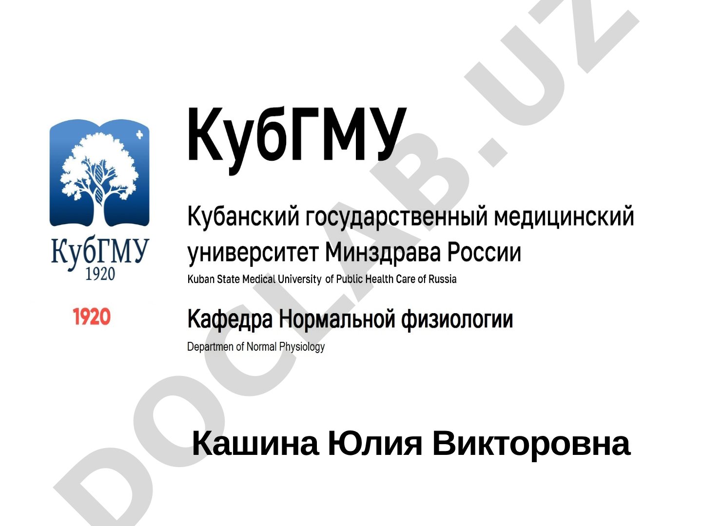 Лекция о механизмах функционирования дыхательной системы, этапах дыхания, газообмене и