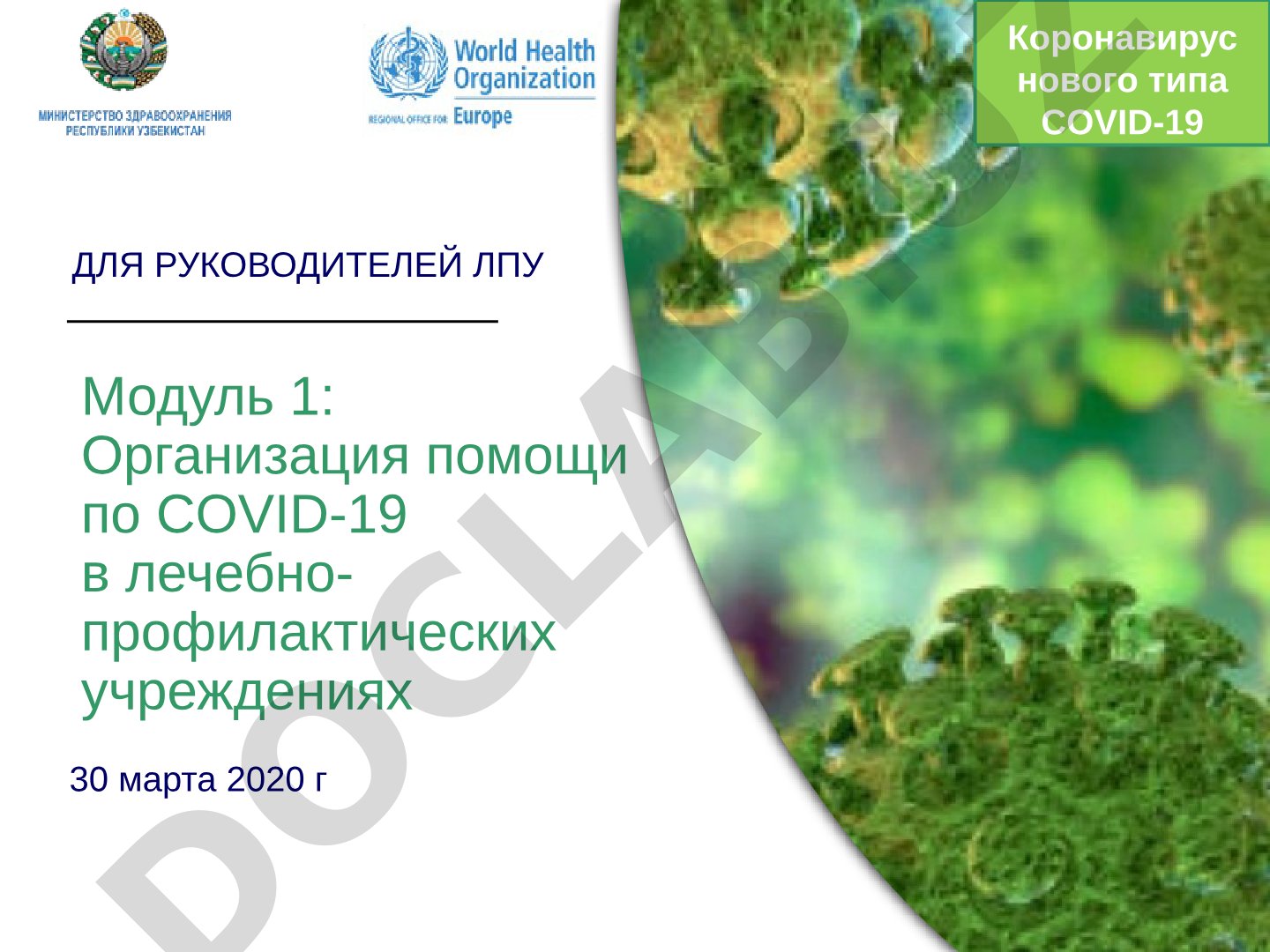 Организация помощи по COVID-19 в лечебно-профилактических учреждениях