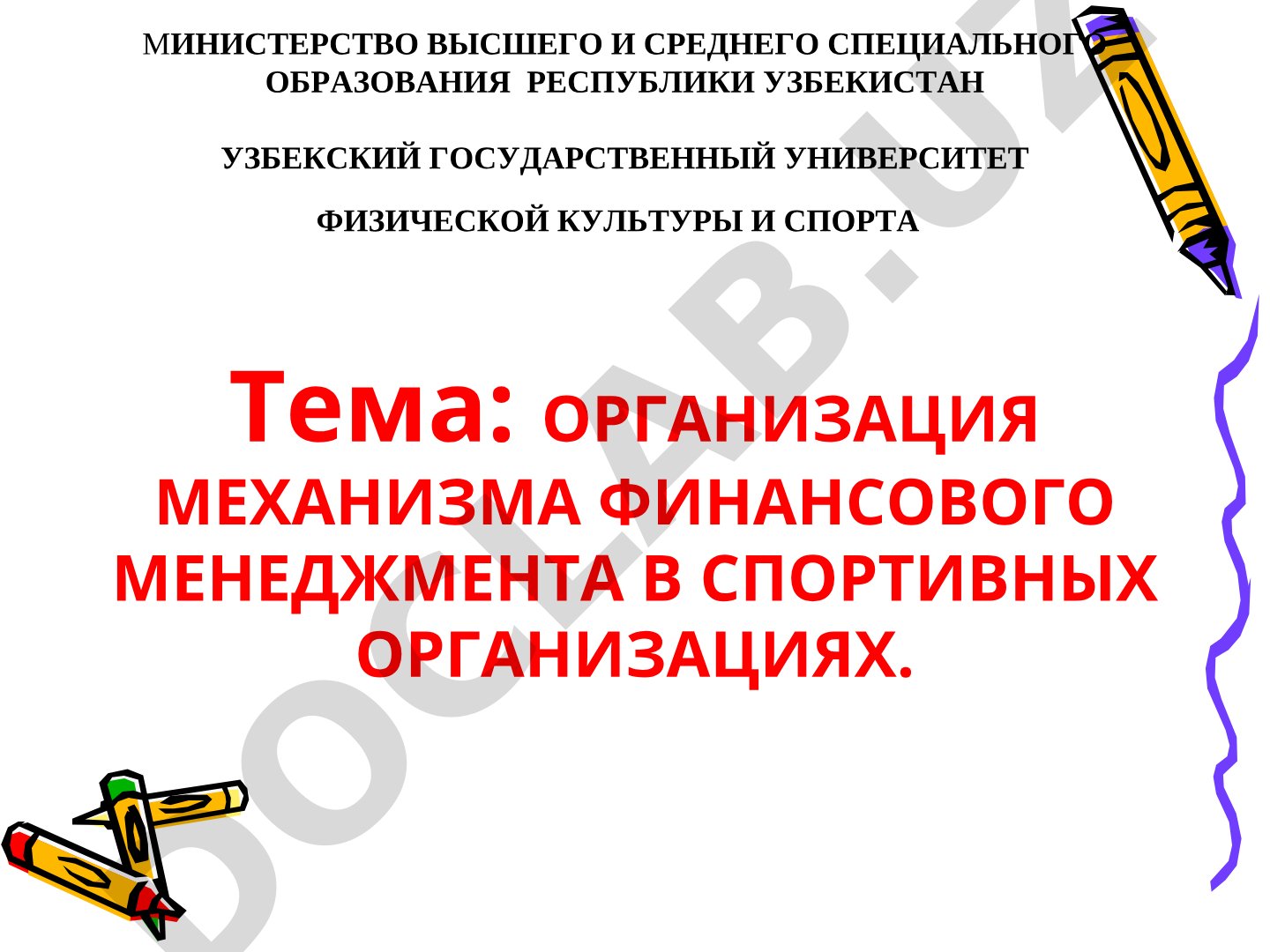Организация механизма финансового менеджмента в спортивных организациях