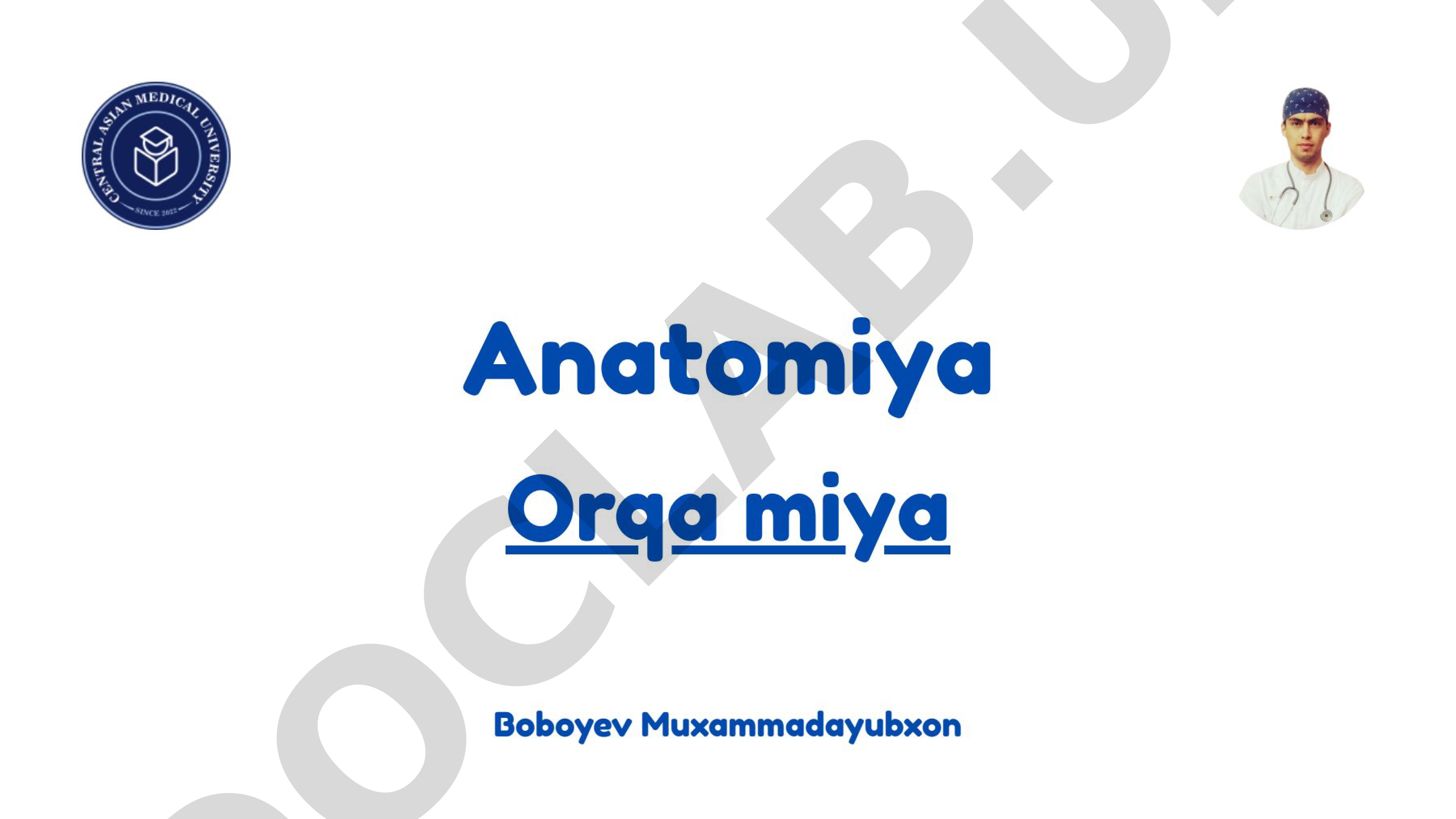 Anatomiya Orqa miya