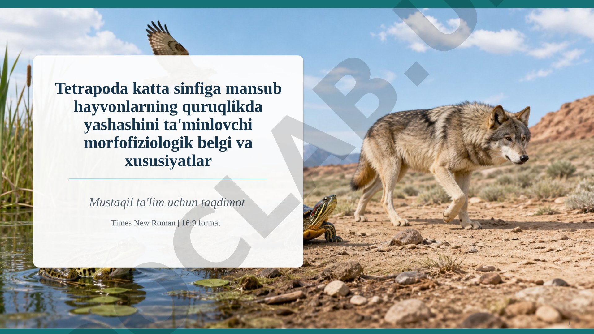 Tetrapoda hayvonlarining quruqlikdagi morfofiziologik moslashuvlari