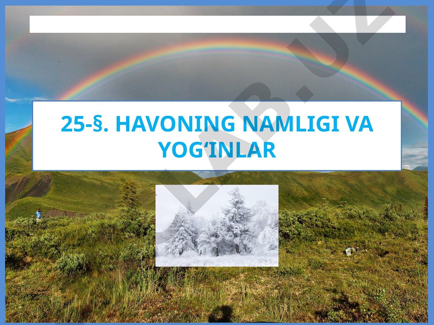 HAVONING NAMLIGI VA YOG‘INLAR