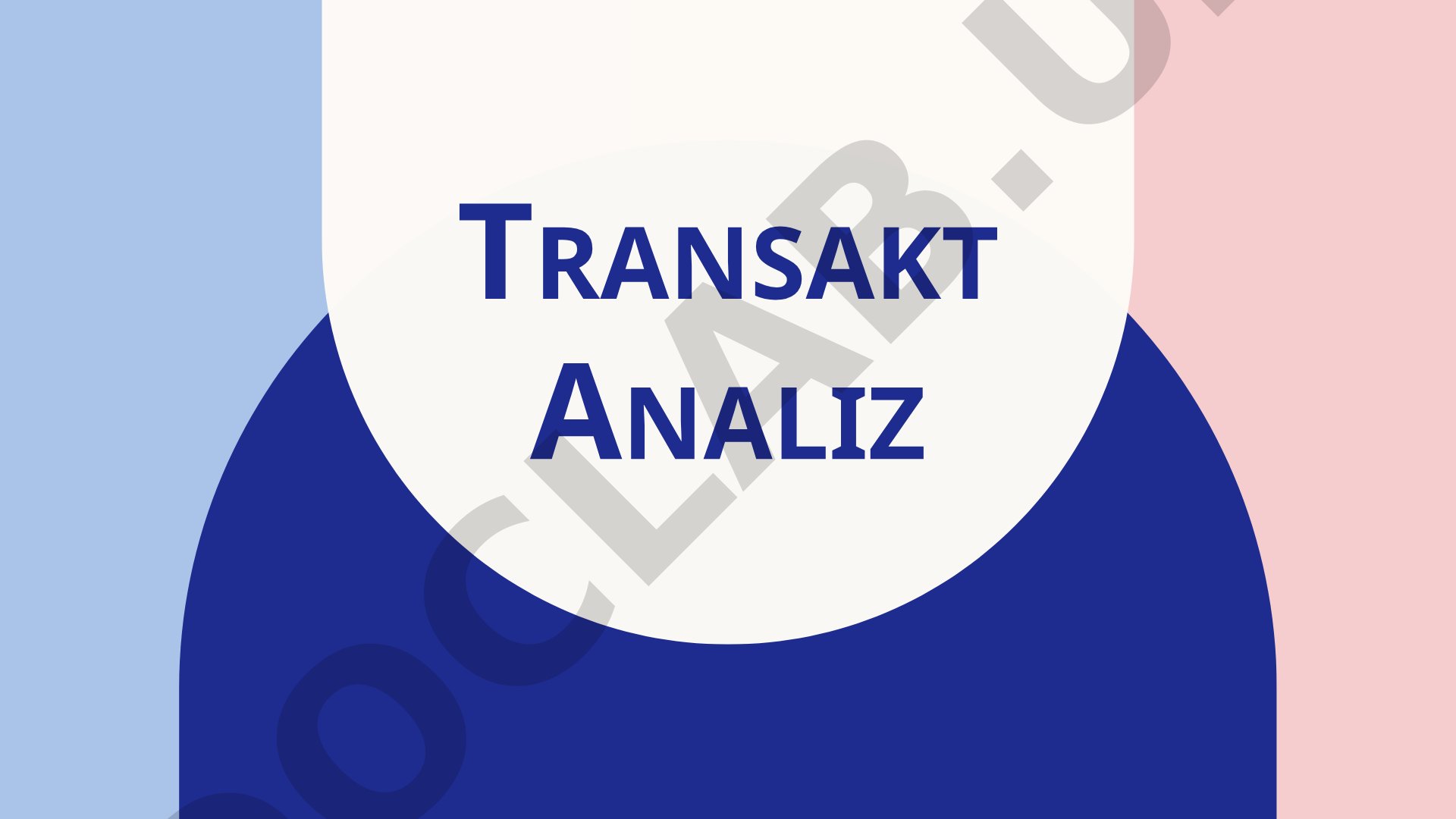 Transakt analiz Erik Bern
