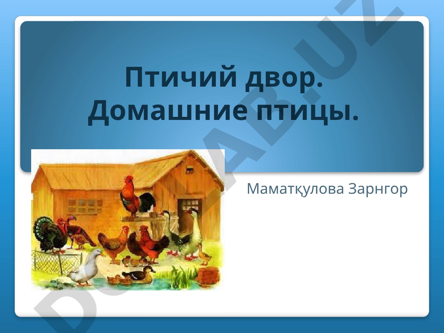 Птичий двор. Домашние птицы.