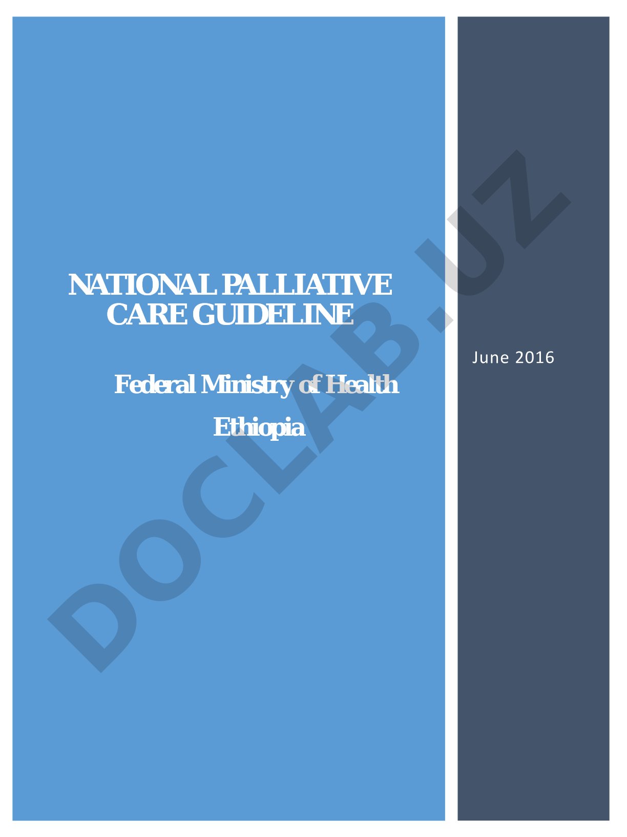National Palliative Care Guideline - Ethiopia