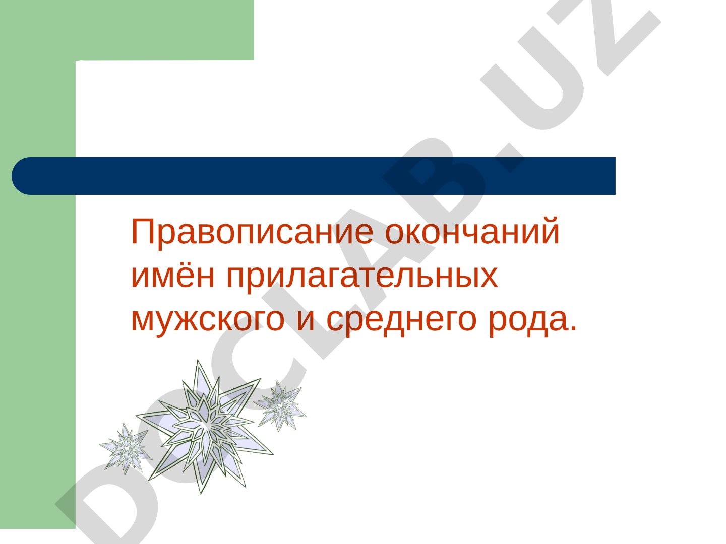 Правописание окончаний имён прилагательных мужского и среднего рода