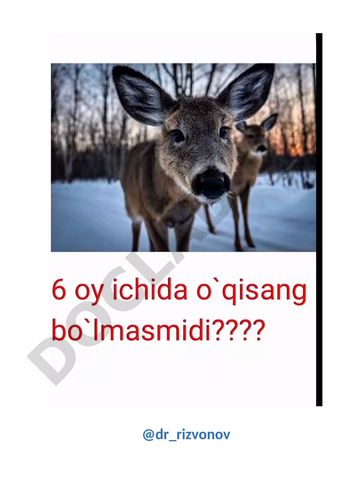 Rasm mazmuni aniqlanmadi