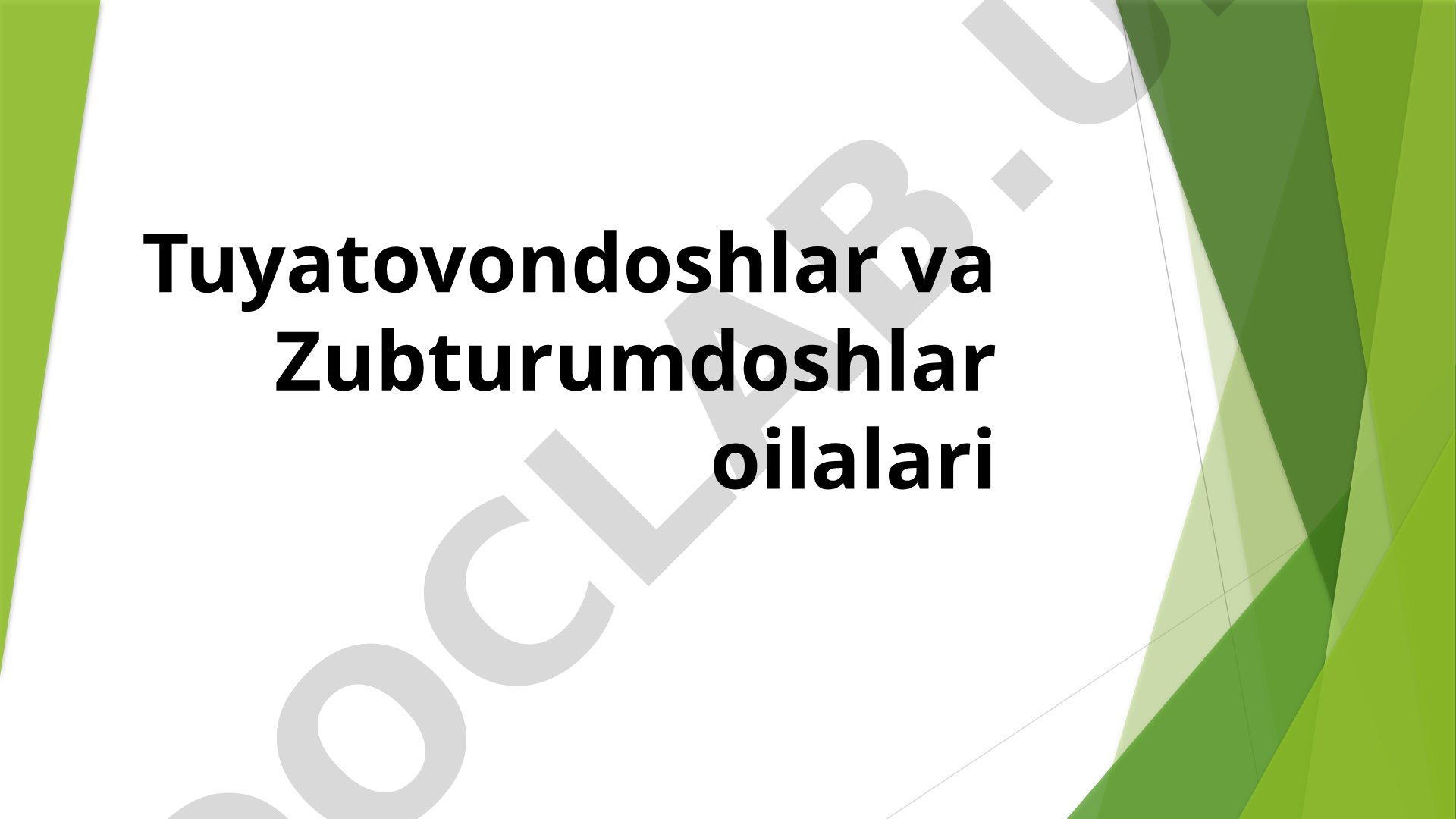 Tuyatovon va zubturum o'simliklarining xususiyatlari
