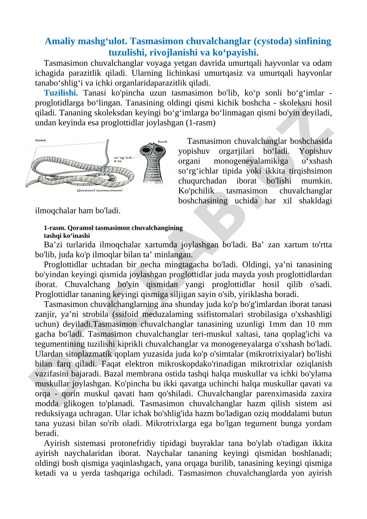 Tasmasimon chuvalchanglar (Cystoda) sinfining tuzilishi, rivojlanishi va ko‘payishi