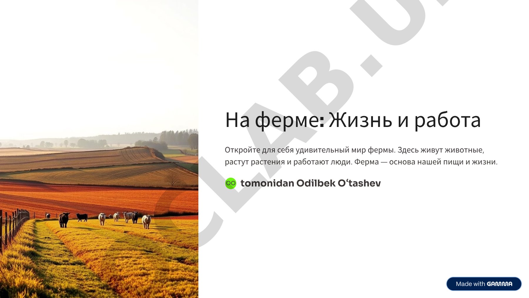 tomonidan Odilbek O»tashev OO