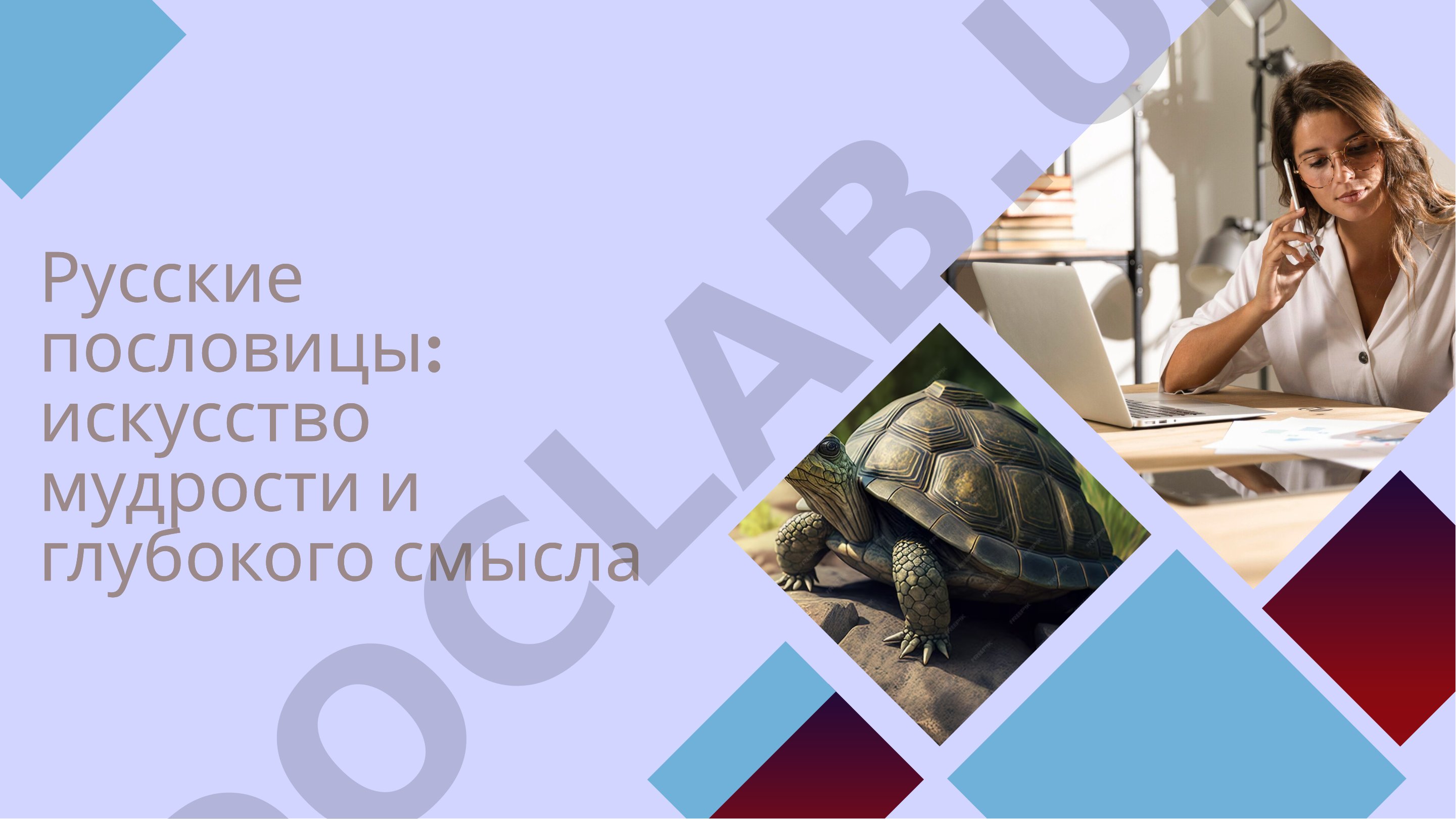 Русские пословицы: искусство мудрости и глубокого смысла