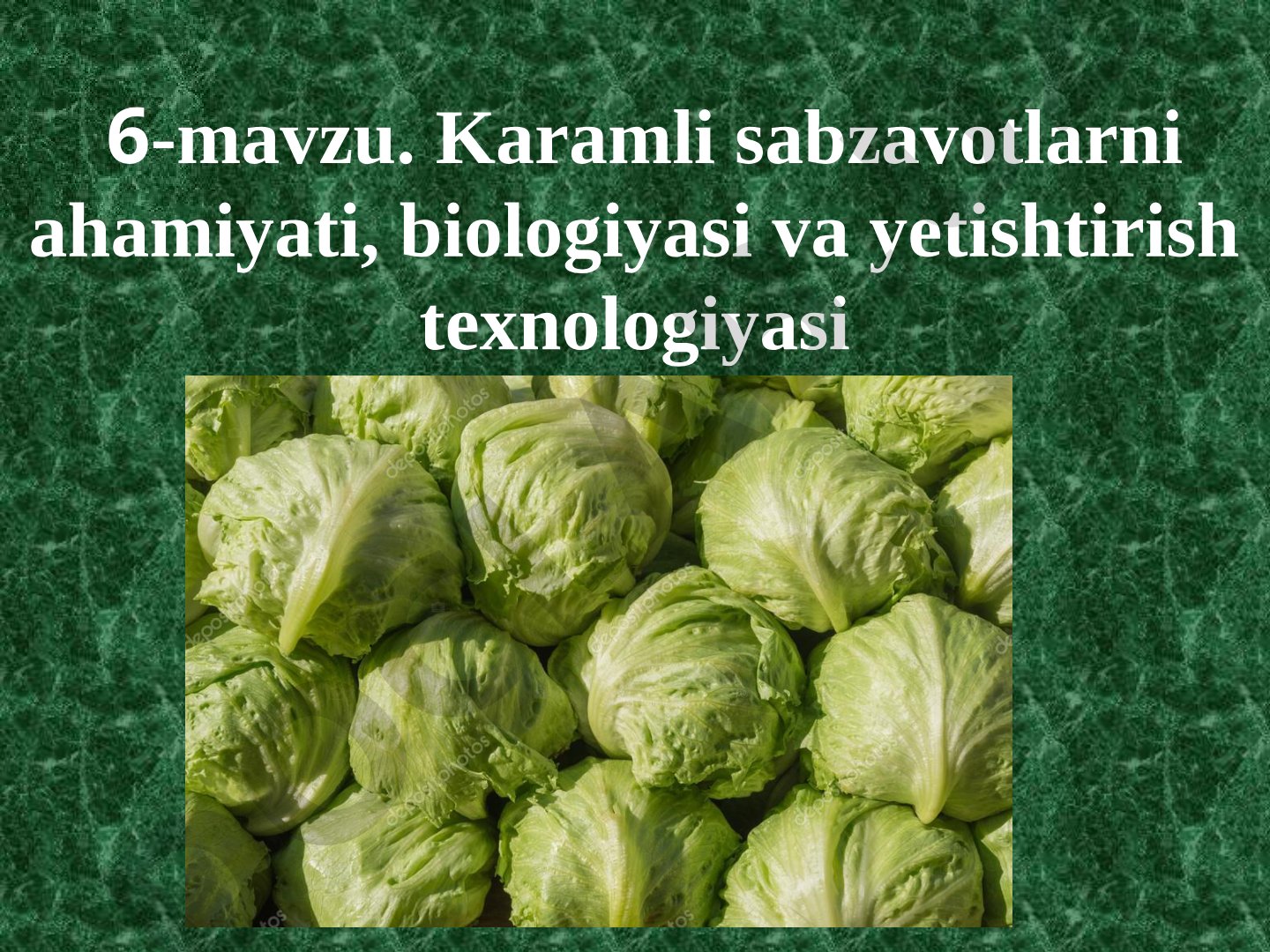 Karamli sabzavotlarni ahamiyati, biologiyasi va yetishtirish texnologiyasi